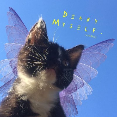 DearyMyself's profile picture. In the end, i only have myself. And that's more than okay. 2O22.⠀