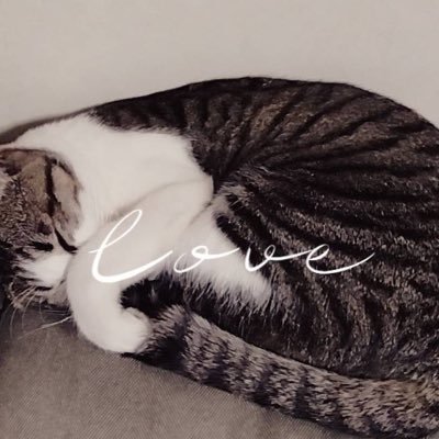 4wO7LXgXB2fU1Lz's profile picture. 