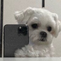 imurmom (@imurmom23) 's Twitter Profile