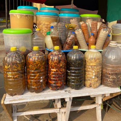 tradomedical doctor
i am a herbalist i make herbs not products!!
i attend to you based on your issue.
i mostly don't make uniform herbs pls notice.