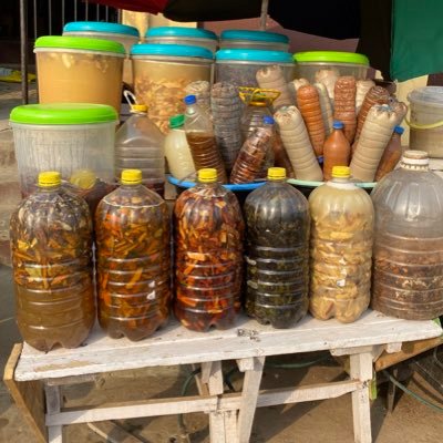 tradomedical doctor
i am a herbalist i make herbs not products!! 
i attend to you based on your issue.
 i mostly don't make uniform herbs pls notice.