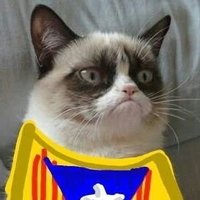Grumpy CATalans (@grumpycatalans) 's Twitter Profile