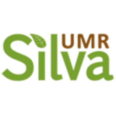 UMR Silva 1434 unité mixte de recherche INRAE AgroParisTech Université de Lorraine. Travaux de recherche axés sur le bois, la forêt et écosystèmes forestiers.