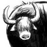nitsanw's profile picture. What I post here should not even be seriously considered as my views, let alone anybody elses.