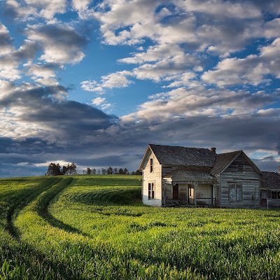 FrancTochi's profile picture. God is the most important that factors in my life