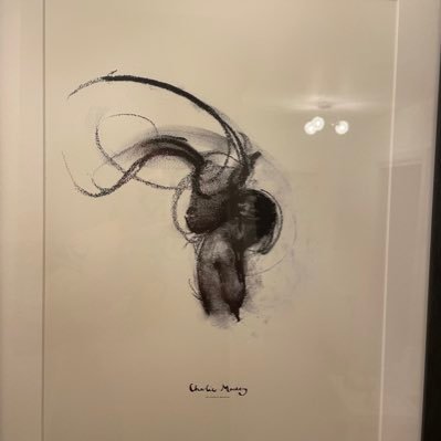 Relentless1167's profile picture. My soul