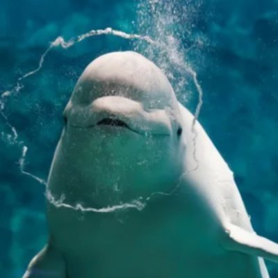 irukauri's profile picture. フリーランスエンジニア。メインはサーバーサイド、他インフラ、フロント、営業。子育て奮闘中。趣味は投資（日本株、米国株、仮想通貨 $BTC $DOT $ASTR $INTR $MATIC ）、ゴルフ、筋トレ、水泳、ラーメン、ウィスキー。競馬。最近はweb3関連を主に収集中。