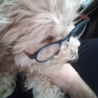 Medy Mer (@goguzaty) 's Twitter Profile