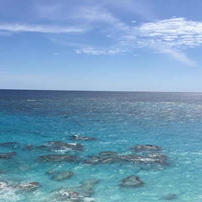 summerview2025's profile picture. 