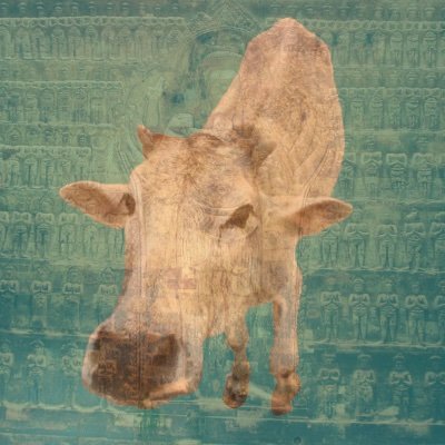 ohozore's profile picture. 