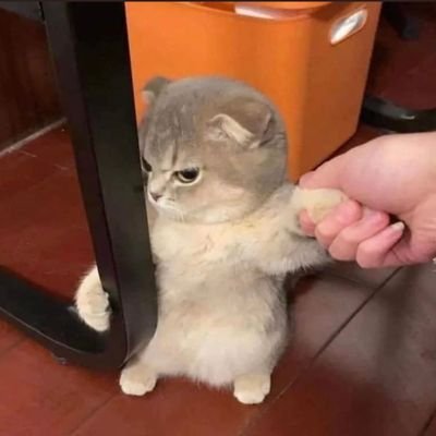 IndianSanki1's profile picture. Truth alone triumph 🕊