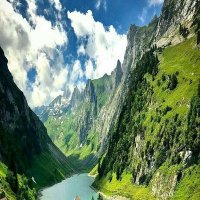 عروض شهر العسل في ماليزيا (@sedra1ali) 's Twitter Profile