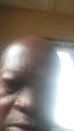 williamson16504's profile picture. Lovely in Nature