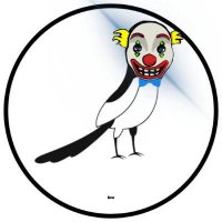 BowTiedMagpie.eth (🤡, 🤡) (@bowtiedmagpie) 's Twitter Profile
