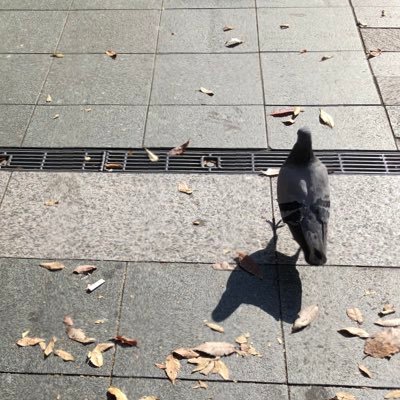 じりさんのプロフィール画像
