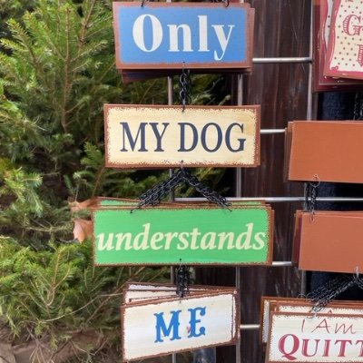 steven0264's profile picture. account om de mening van de medemens te begrijpen |  soms te reageren | my dog en ik staan rechts van het midden en af en toe links | 0 behoefte aan followers.