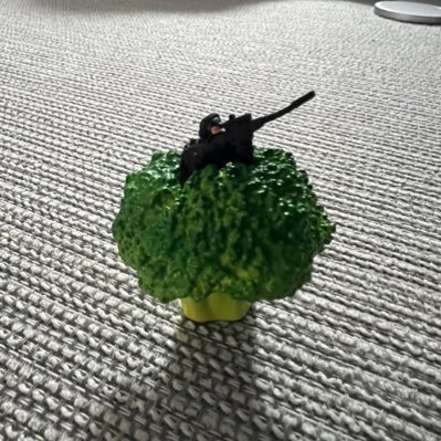 XXshow_T's profile picture. 勝手にフォローすんません。