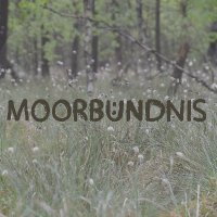 MoorBündnis(@MoorBuendnis) 's Twitter Profile Photo