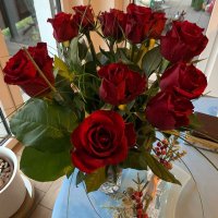 Lisa (@lisableibt) 's Twitter Profile