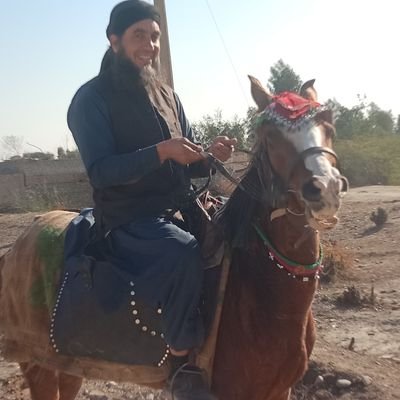 KstarmanL's profile picture. 