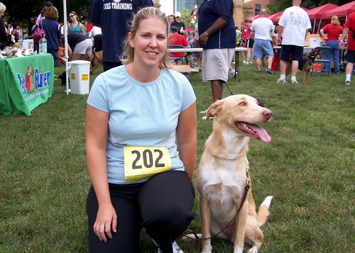 holidayaddy's profile picture. 