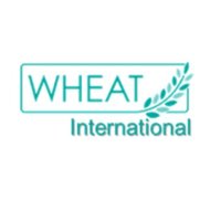 WHEAT International(@WHEATIntStudy) 's Twitter Profile Photo