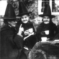 Teajenny (@galluslass) 's Twitter Profile