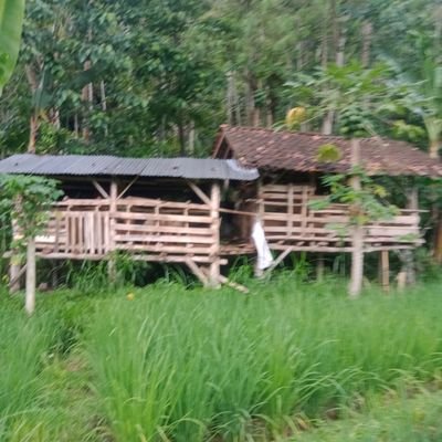 Apar96381089's profile picture. 2022