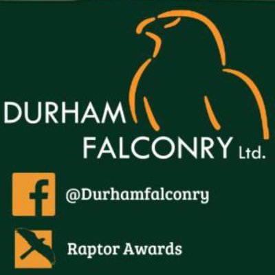 The foundations of our services are based around our birds of prey. We fly Hawks, Falcons & Owls from the 450 acres of farm and woodland.