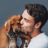 i love liam ♡︎ (@liamsaysitall) 's Twitter Profile