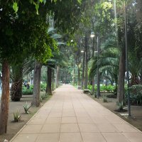 أماني (@amani81nbk) Twitter profile photo