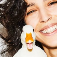 MONSTER MEESH (@sonyameesh) 's Twitter Profile Photo MONSTER MEESH (@sonyameesh) 's Twitter Profile Photo