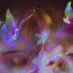 love mirrorball (@cinaamoongirll) Twitter profile photo love mirrorball (@cinaamoongirll) Twitter profile photo