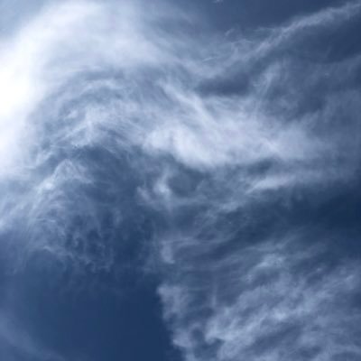 dangsinmiwoe's profile picture. 시즌오프