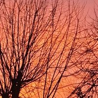 Meg (@megtrouble02) 's Twitter Profile