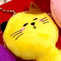 C☺︎CO🐈⬛🎀1y4m (@atmr_coco) 's Twitter Profile
