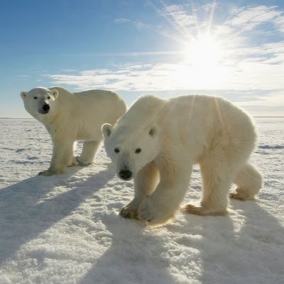 AnalyticsNag's profile picture. 