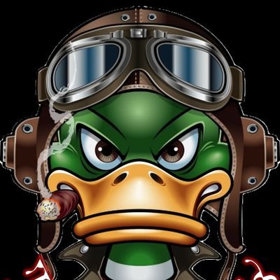Twitch Affiliate Streamer come join the fun an sometimes rages good vibes https://t.co/J27N1OO8yD , owner of True Voice Duck calls