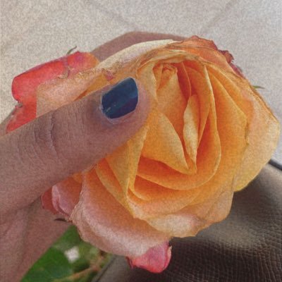 Gadafadoul20's profile picture. UST🔬❤️