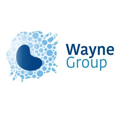 The Wayne Group