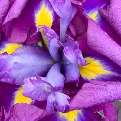 @Time_4_unity