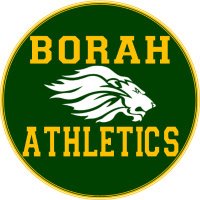 Borah Athletics (@borahathletics) 's Twitter Profile