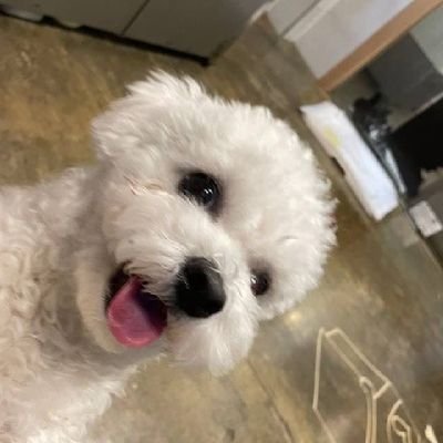 CHENWOOX's profile picture. 🫧