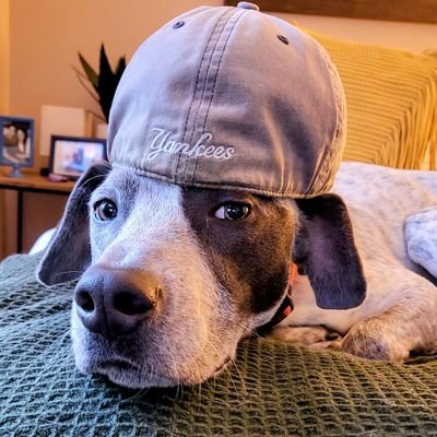 AllRise__99's profile picture. Ripple for the sweep!