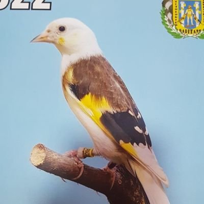 MazaMuleros's profile picture. 