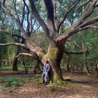 Steve Thorogood (@stevethorogood8) 's Twitter Profile