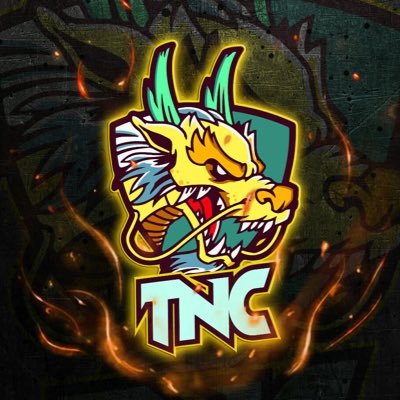 Welcome to Team no cry (TNC). We are a clan belonging to the dragonary game Bienvenid@ a Team No Cry (TNC). Somos un clan perteneciente al juego de dragonary