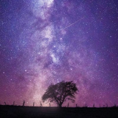 rutile9's profile picture. I hope everyone can spend every day happily.