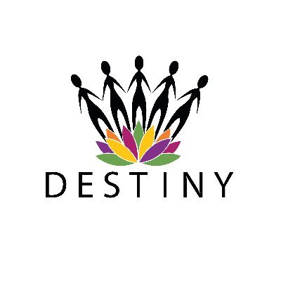 Destiny Reflection Profile