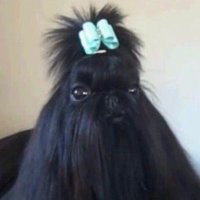 Rachel Slurs (@rachelsuckz) 's Twitter Profile Photo